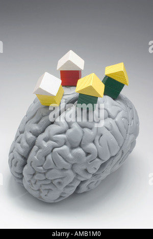 Menschliche Gehirn und Miniatur Holzhäuser Stockfoto