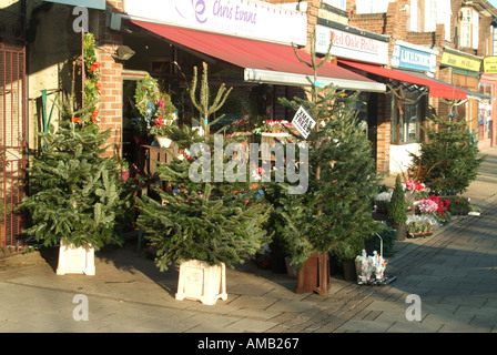 Weihnachtsbäume in Ständen und Blumen auf dem Bürgersteig zum Verkauf außerhalb des Blumengeschäfts im lokalen Einkaufsviertel Essex England Großbritannien Stockfoto