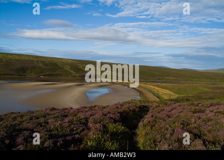 dh Waulkmill Bay ORPHIR ORKNEY Fußweg durch violette Heide hinunter Zur sandigen Bucht weit weg leeres Ufer Stockfoto