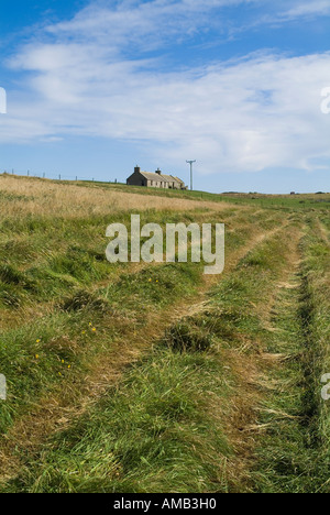 Dh ERNTE UK Grassilage trocknen bereit für die Ernte und die Cottage Orphir Orkney Stockfoto