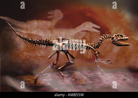Dinosaurier (Deinonychus), ausstellen Stockfoto
