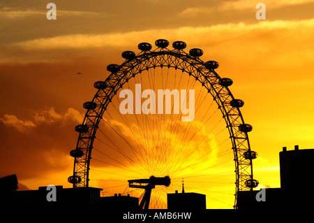 Das London Eye, London. Bild von Patrick Steel patricksteel Stockfoto