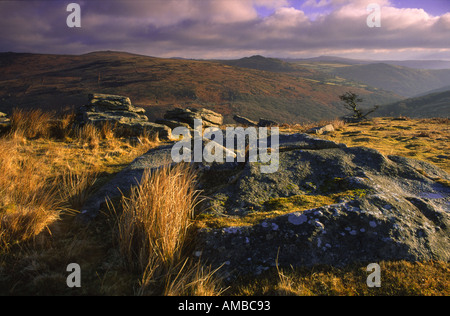 Combestone Tor Licht des frühen Morgens Stockfoto