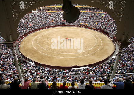 Stierkampf, Stierkampfarena Plaza de Toros, Madrid, Spanien Stockfoto