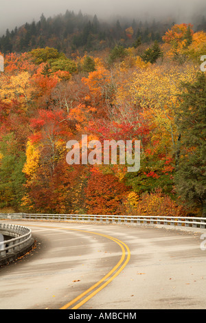 Herbst-Farbe über eine der vielen Brücken entlang der Blue Ridge Parkway in North Carolina Stockfoto