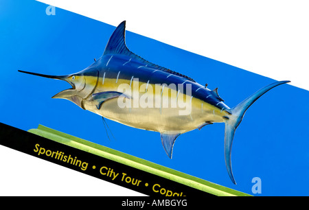 Marlin Stockfoto