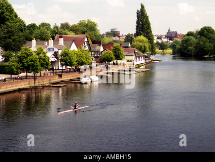 Ruderer am Fluss Dee Chester UK Stockfoto