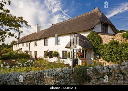 Reetdachhaus mit ziemlich englischen Garten in Dorf Shute, East Devon, England, Großbritannien im Sommer Stockfoto