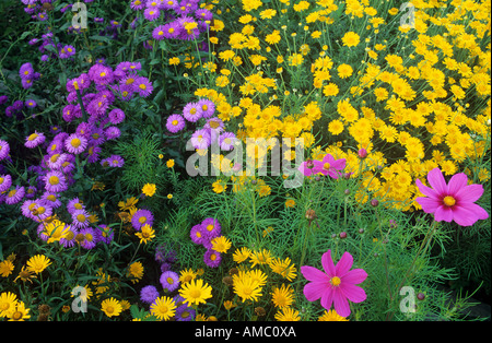 Bett mit verschiedenen Blumen Stockfoto