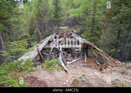 Reste der alten hölzernen Brücke über North Fork Quarz Creek auf einem Waldweg in der National Forest in Helena, Montana. Stockfoto