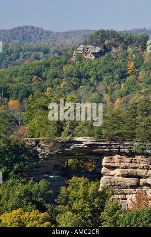 Anfang Herbst Farbe und doppelten Bogen Red River Gorge geologischen Gebiet Kentucky Stockfoto