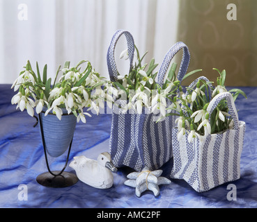 Sträuße: gemeinsame Snodrops / Galanthus Nivalis Stockfoto