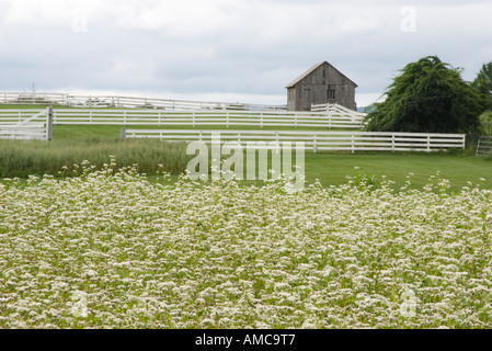 Hancock Shaker Village in Pittsfield, Massachusetts, Juli 2006 Stockfoto