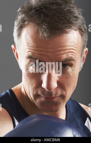 Porträt von Boxer Stockfoto