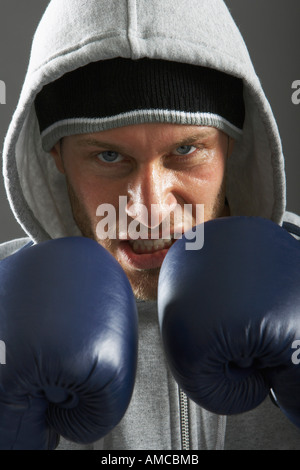 Porträt von Boxer Stockfoto