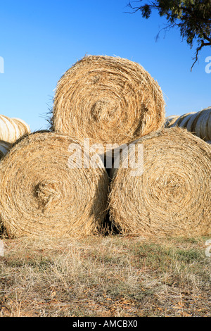 Drei große Heuballen gestapelt in einer Pyramide in der Nähe von einem Kaugummi Baum, oberen Murray Valley North Eastern Victoria, Australien Stockfoto