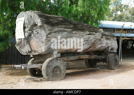 Redgum Buggy in der Regel gezeichnet von Bullock Teams ca. 1870 s Log Länge 20 ft Umfang 18 ft Murray Esplanade Echuca Victoria Australien Stockfoto