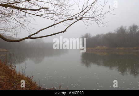 Herbstnebel über Assiniboine River in Winnipeg, Manitoba Kanada Stockfoto