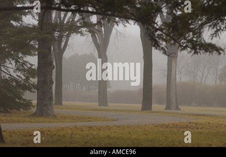 Herbstnebel in Assiniboine Park Winnipeg Manitoba Kanada Stockfoto