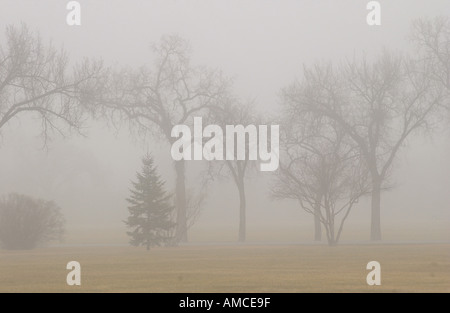 Herbstnebel in Assiniboine Park Winnipeg Manitoba Kanada Stockfoto