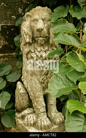 Stein-Löwen, die teilweise versteckt im Unterholz Stockfoto