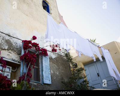 Klamotten auf der Wäscheleine mit Gebäude und Blumen Stockfoto