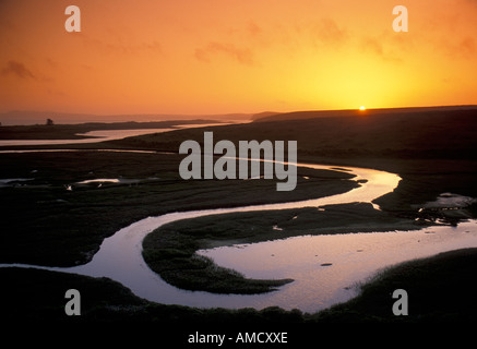 Elk273 3164 Kalifornien Point Reyes National Seashore Limantour Estero bei Sonnenuntergang Stockfoto