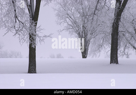 Winnipeg Winter Szenen Stockfoto