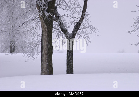 Winnipeg Winter Szenen Stockfoto