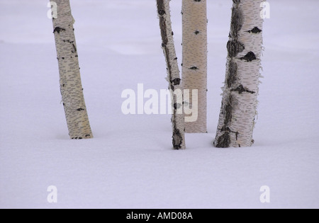 Winnipeg Winter Szenen Stockfoto