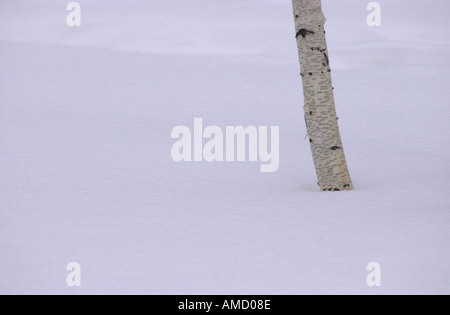 Winnipeg Winter Szenen Stockfoto