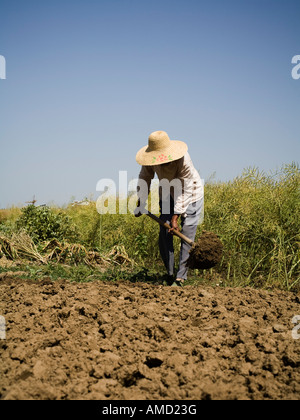 Person mit Strohhut, arbeiten im freien Feld Stockfoto