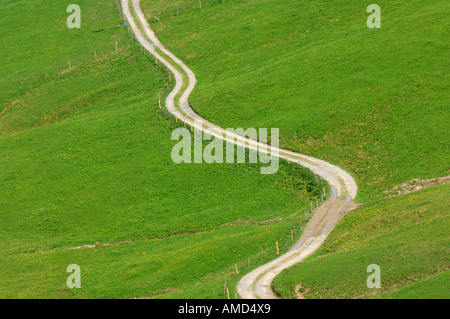 Straße durch die Weide, Schweiz Stockfoto