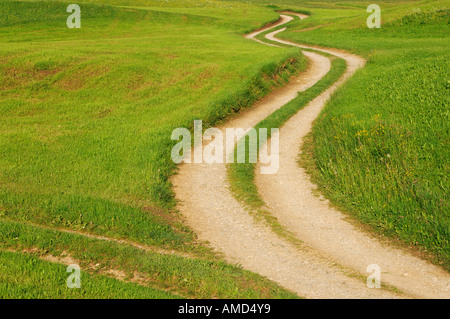 Straße durch Wiese, Allgäu, Deutschland Stockfoto