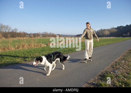 Border-Collie Hund zeichnen Frau auf skateboard Stockfoto