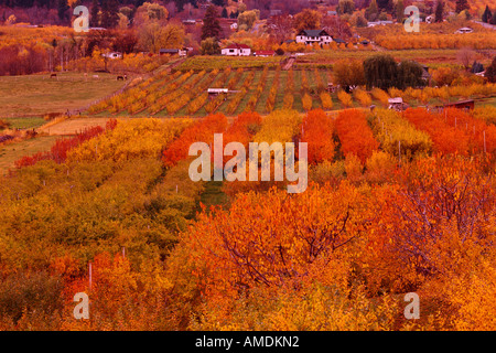 Summerland im Herbst British Columbia, Kanada Stockfoto