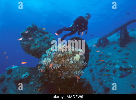 Ägypten Rotes Meer Taucher im Propeller Abschnitt der Salem Express Fähre Wrack unter Wasser Stockfoto