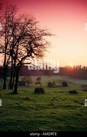 Fraser Valley im Herbst British Columbia, Kanada Stockfoto