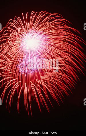 Feuerwerk Stockfoto
