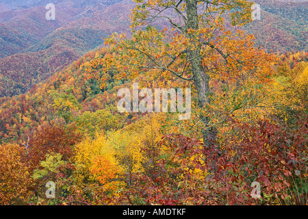 Fallen Landschaftsansicht von Blue Ridge Parkway North Carolina, USA Stockfoto