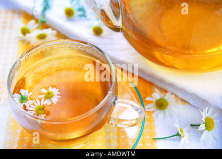 Teetasse und Teekanne mit pflanzlichen beruhigende Kamillentee Stockfoto