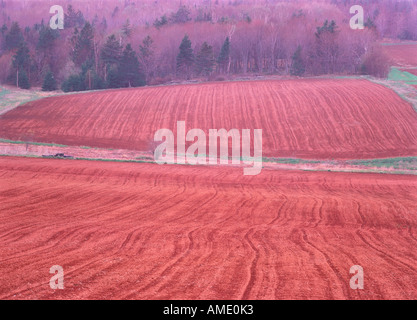 Angenehme Valley Prince-Edward-Insel, Kanada Stockfoto