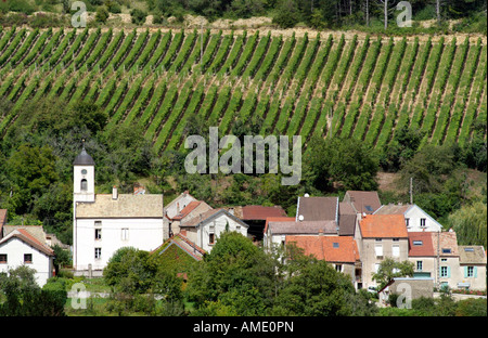 Weinberg in Côte de Beaune Weinregion Frankreich Stockfoto