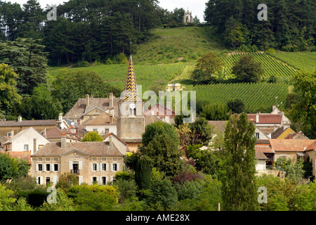 Pernand-Vergelesses-Weinberge in Côte de Beaune Weinregion Frankreich Stockfoto