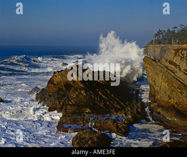 Shore Acres State Park in der Nähe von Charleston an der Küste Oregons zeigen riesige Surfen abstürzt an Land bei einem Wintersturm Stockfoto