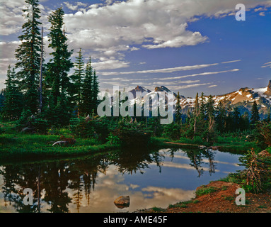 Mount Ranier National Park in Washington zeigt die Tatoosh Bergkette gesehen aus einem kleinen Bergdorf tarn Stockfoto