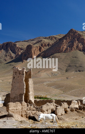 Ruinen der Län Kasr in Marokko. Ein Kasr, eine alte befestigte Dorf mit Häusern im Inneren. Stockfoto