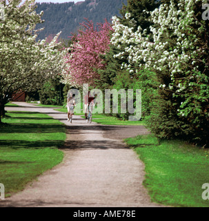 Jungen und Mädchen Fahrrad auf einem Weg zwischen blühenden Crabapple Bäume in einer Spring-Szene Stockfoto