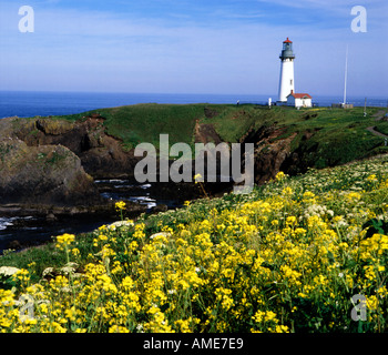 Yaquinna Head-Leuchtturm in der Nähe von Newport auf der Central Oregon Coast umrahmt mit Wildblumen Vordergrund Stockfoto