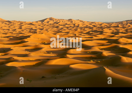 Die Sanddünen des Erg Chebbi in der Nähe der Stadt Merzouga am Rande der Sahara im östlichen Marokko. Stockfoto